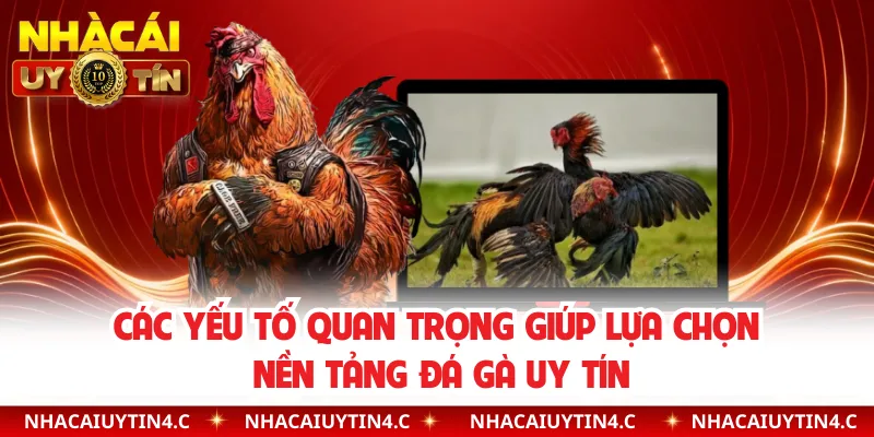 Các yếu tố quan trọng giúp lựa chọn nền tảng đá gà uy tín