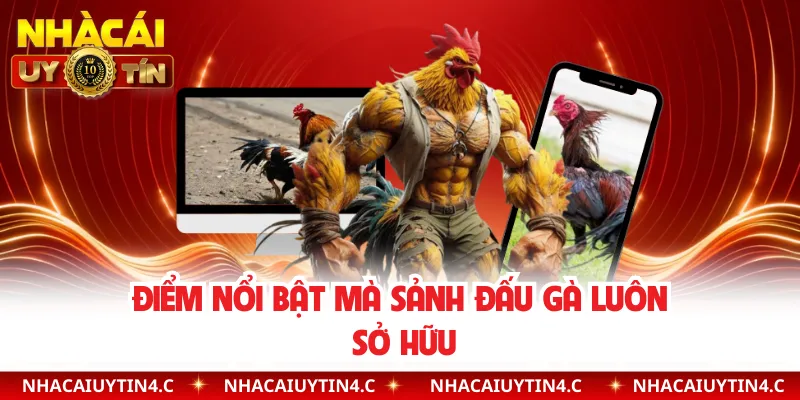 Điểm nổi bật mà sảnh đấu gà luôn sở hữu