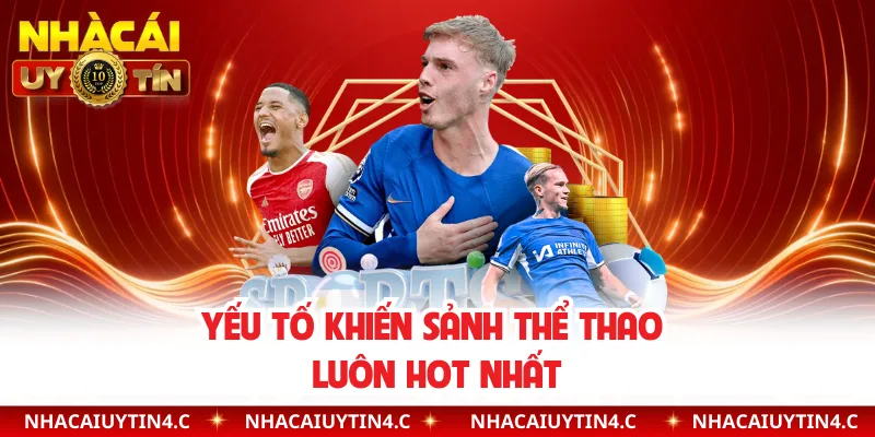 Yếu tố khiến sảnh thể thao luôn hot nhất 