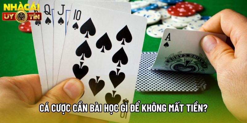 Cá cược cần bài học gì để không mất tiền?