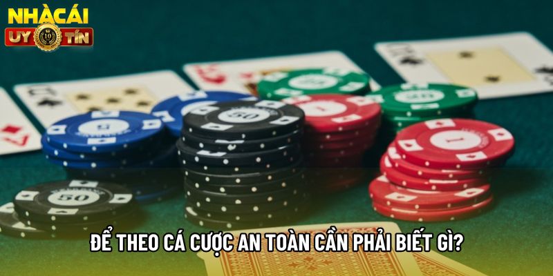 Để theo cá cược an toàn cần phải biết gì? Để theo cá cược an toàn cần phải biết gì?
