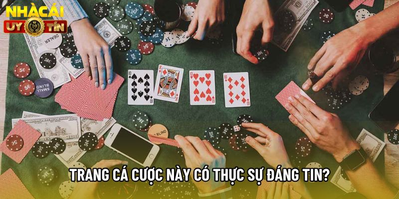 Trang cá cược này có thực sự đáng tin?